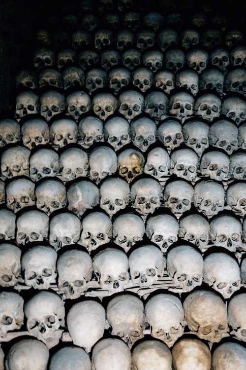 Stacked Skulls In Darkness Photo
