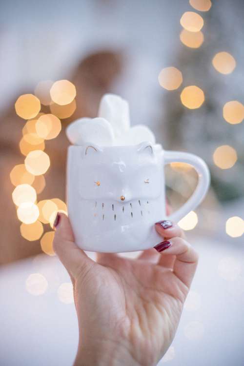 A Mug With The Face Of A Fox Is Full Of Marshmallows Photo