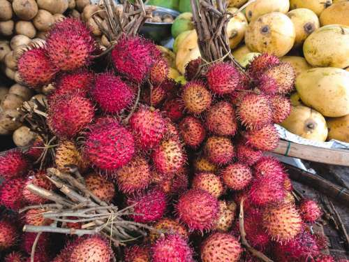 Rambutan fruit close up