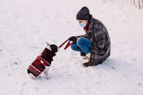 A female with a french bulldog out in the snow 3