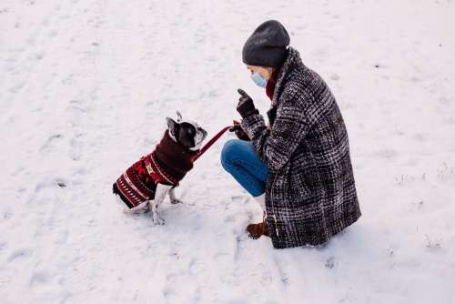 A female with a french bulldog out in the snow 4