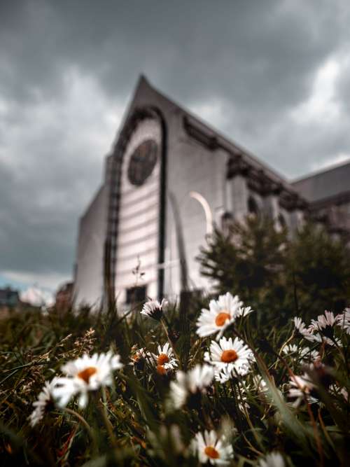 Flowers at church