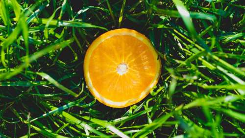 Orange Fruit Free Photo