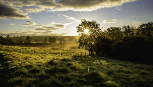 Country Field Landscape Free Photo