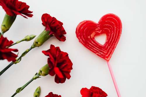 Valentine's Day Backgrounds & Flatlays