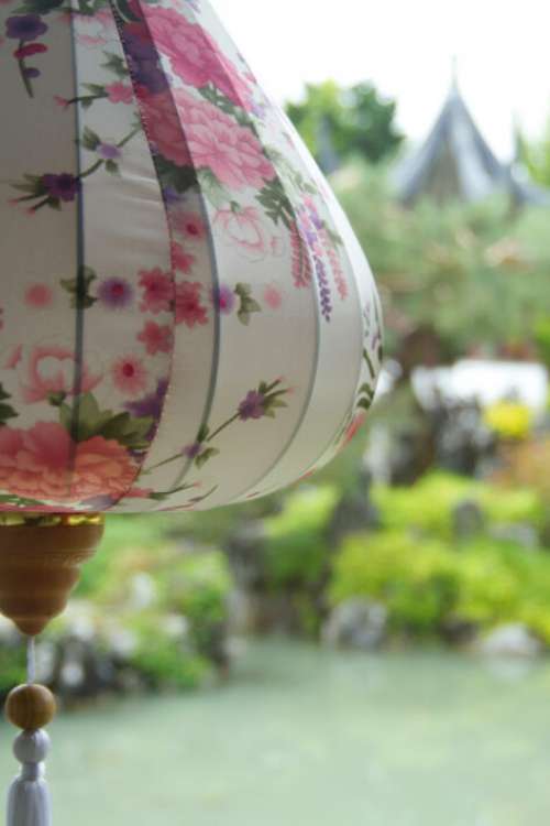 Chinese Lantern Outdoor Free Photo