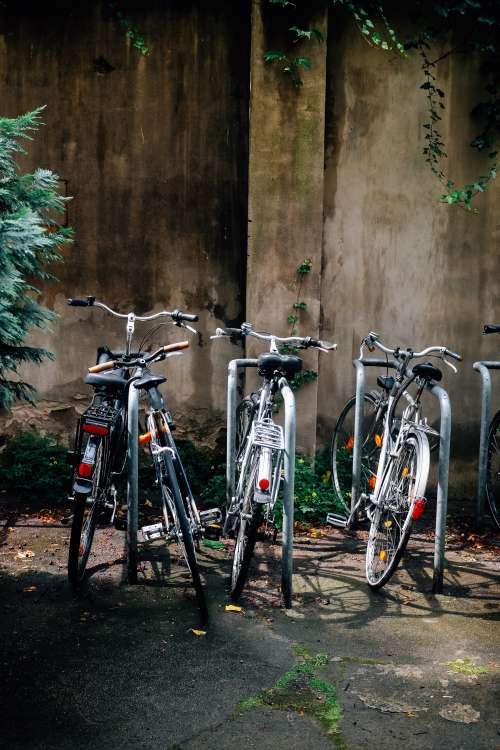 Four Parked Shiny Silver Bikes Photo