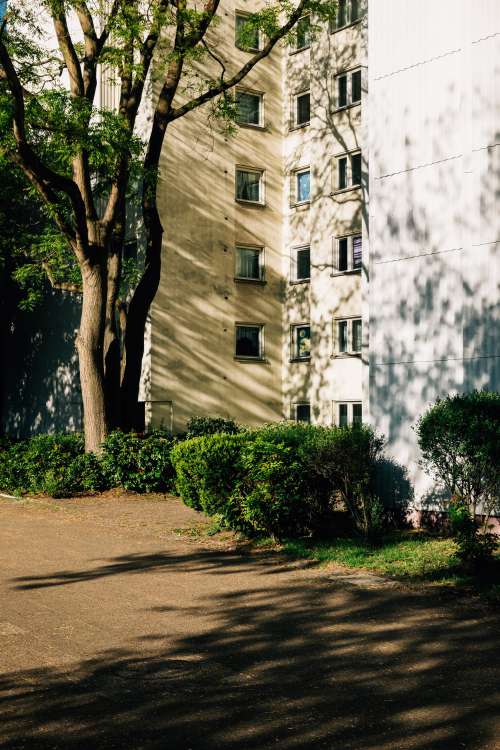 Apartment Building And Tall Trees Creating Shadows Photo