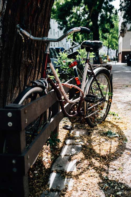 Bicycle Parked Outside On A Black Fence Photo