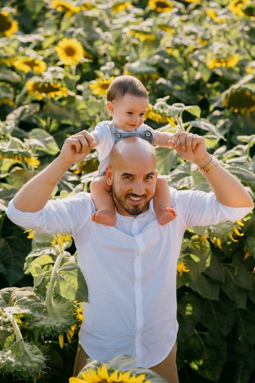 Child Sits On A Shoulders Standing In A Sunflower Field Photo