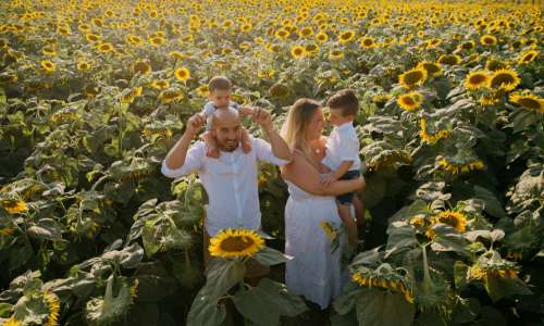 Four People Stand In A Sunflower Field Smiling Photo
