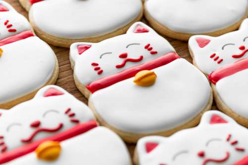 Close Up Of Lucky Cat Cookies Photo
