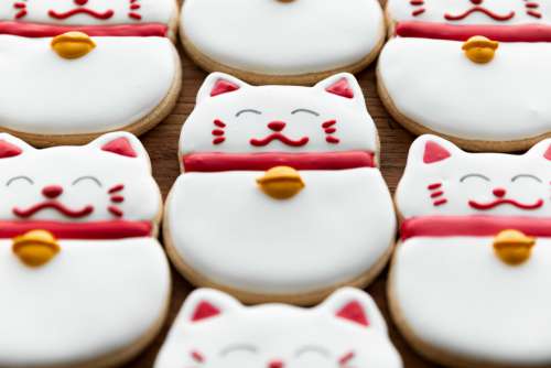 Lucky Cat Cookies On Display Photo