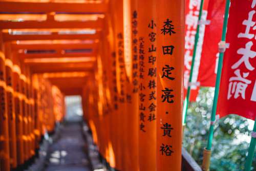 Orange Poles With Japanese Characters Create A Tunnel Photo