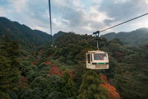 Gondola Reaches Over Colorful Fall Trees Photo