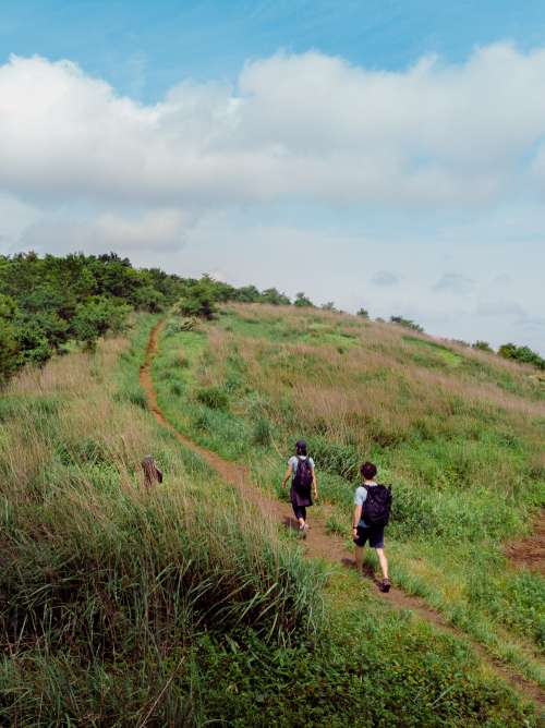 Two Backpackers Taking The Path On A Green Hill Photo
