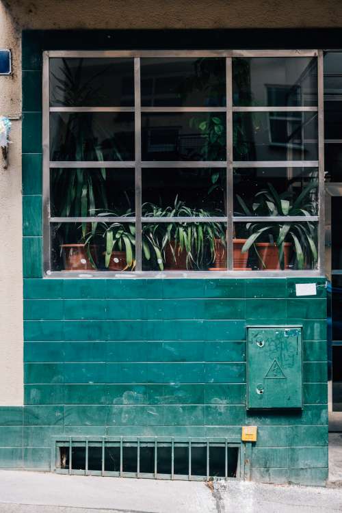 Green Tiled Building With Plants In The Window Frame Photo