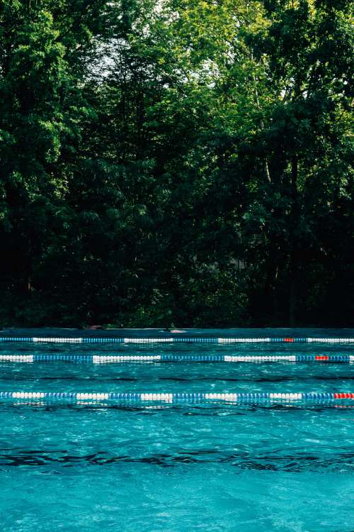 Outdoor Swimming Pool With Tall Trees Behind It Photo