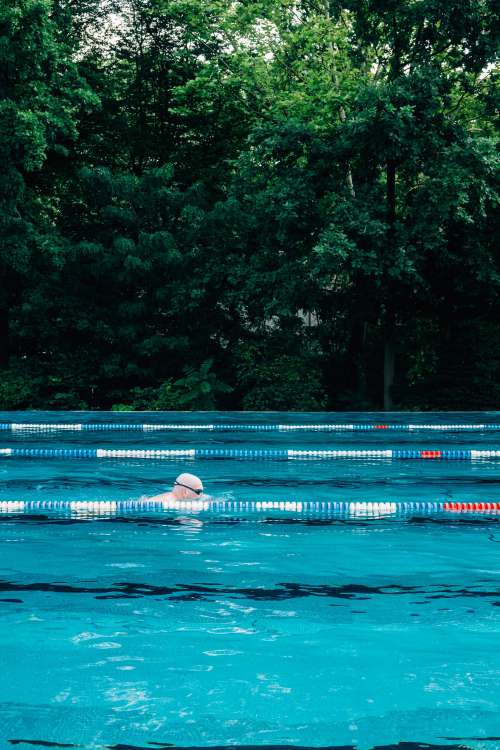 A Person Swimming Lanes In Outdoor Pool By Tall Trees Photo