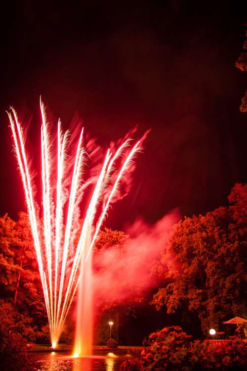 Fireworks Reflected In A Pond Surrounded By Trees Photo