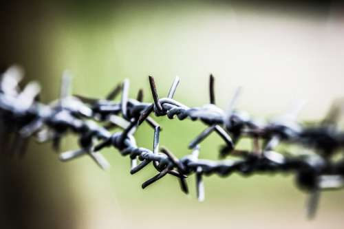 Close Up Of Barbed Wire Against Green And White Photo
