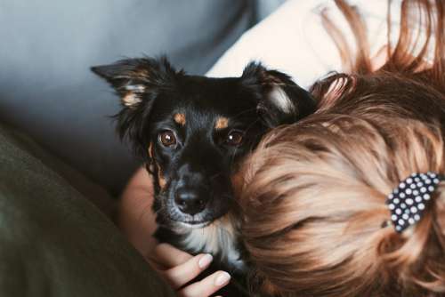 Girl hugging her dog
