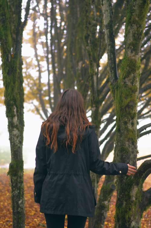 Person Looks Out To Moss Covered Trees Photo