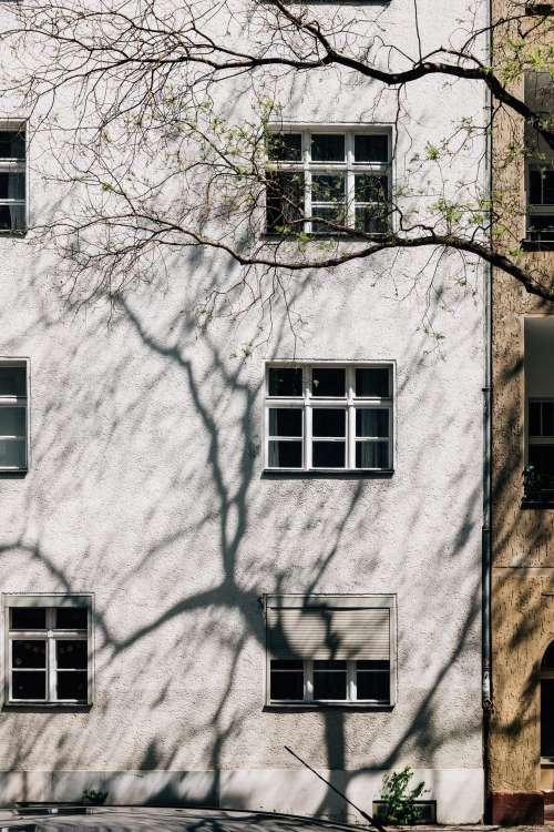 The Side Of A Tall White Building Shadowed By A Tree Photo