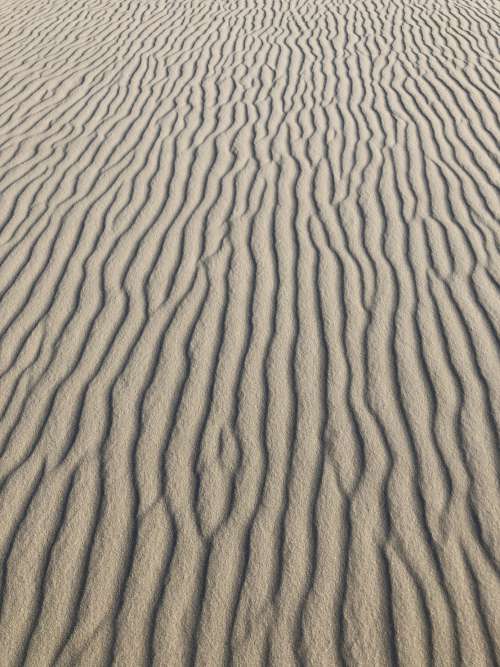 Textured Channels In Dry Sand Photo