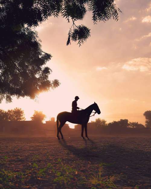 Person Silhouetted On A Horse In A Open Field Photo