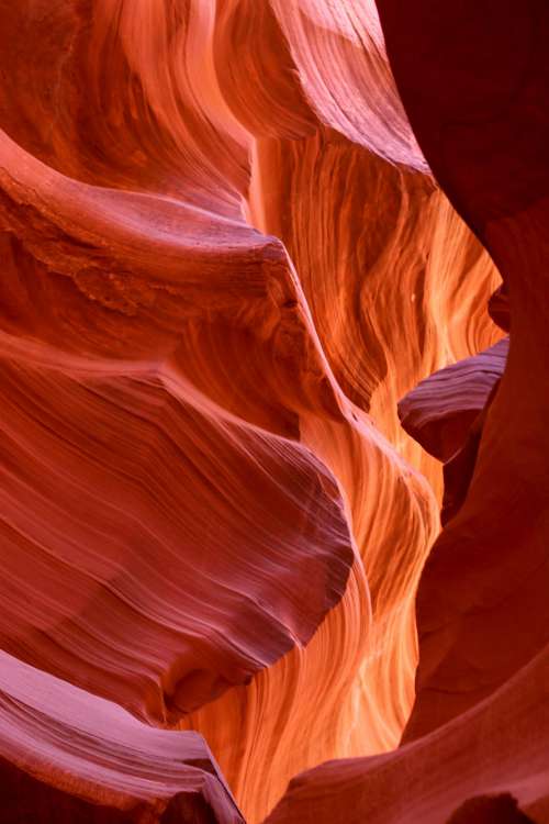 Vibrant Corridor In The Antelope Canyons Photo