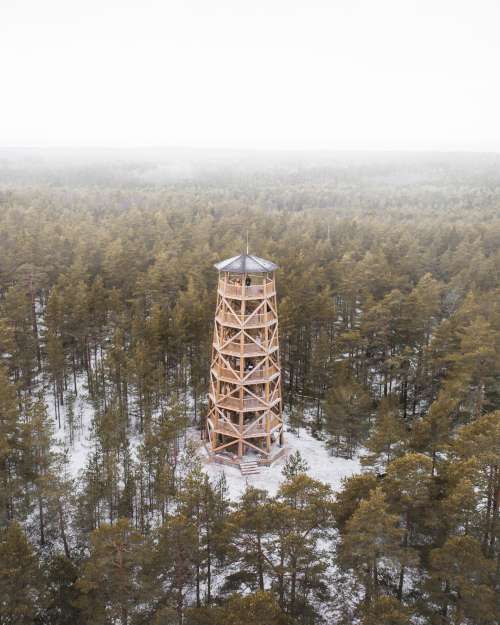 Forest With A Tall Tower In The Winter Photo