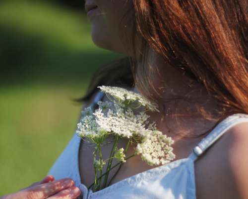 Holding A Bunch Of Queen Annes Lace To Chest Photo