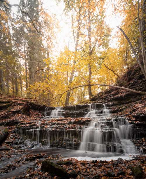 Yellow Autumn Trees And A Trickling Waterfall Photo