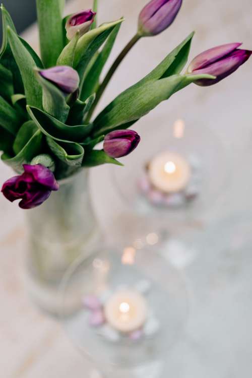 Table candle decoration with purple tulips 4