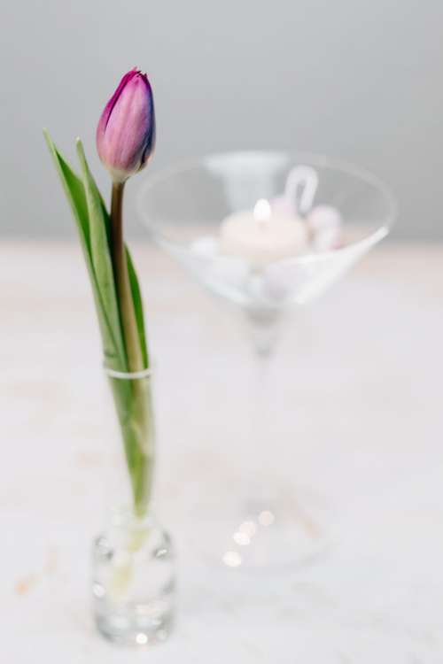 Table candle decoration with a purple tulip 2