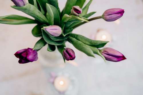 Table candle decoration with purple tulips 2