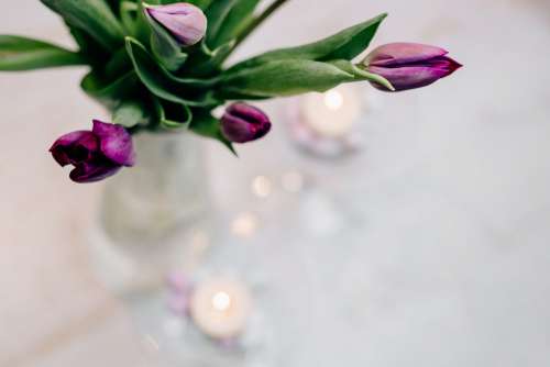 Table candle decoration with purple tulips 3