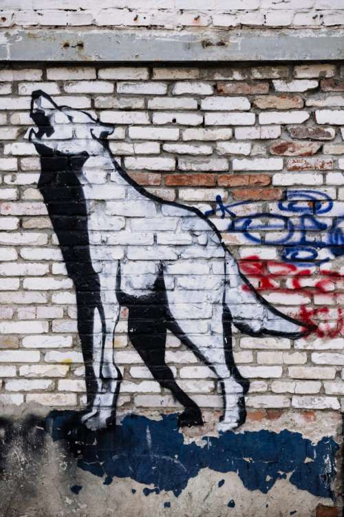 Graffiti of a wolf on a brick wall