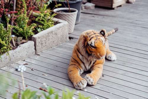 Big plush tiger toy on a wooden terrace
