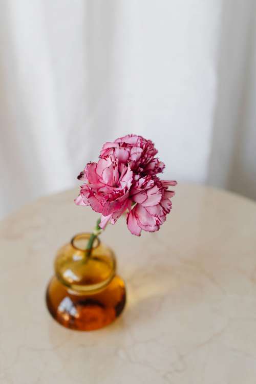Minimalistic still life with candle - vase - fresh flower and dried flower.
