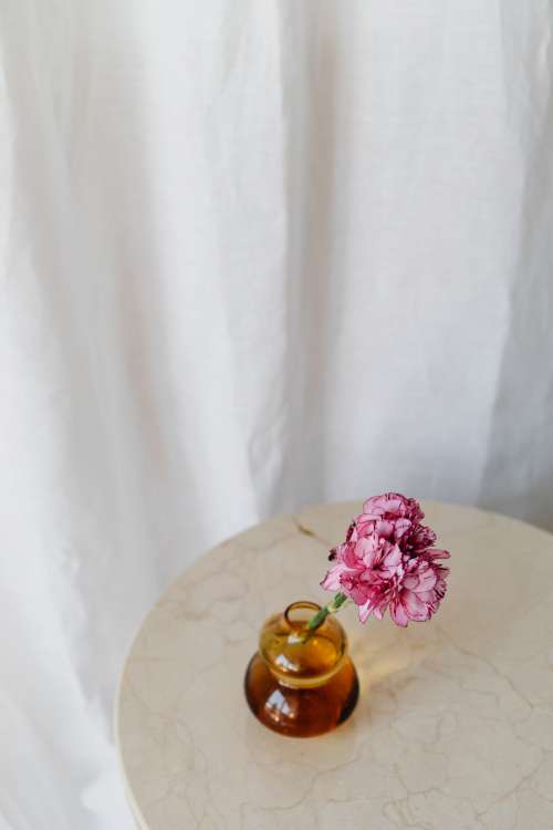Minimalistic still life with candle - vase - fresh flower and dried flower.