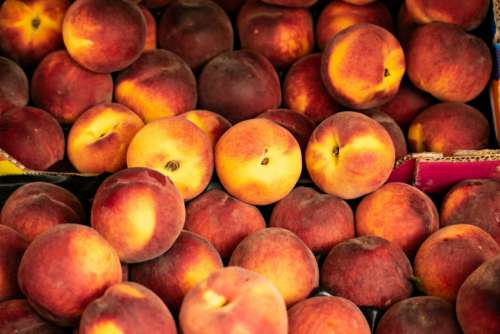 Peaches Market Fruit Free Photo