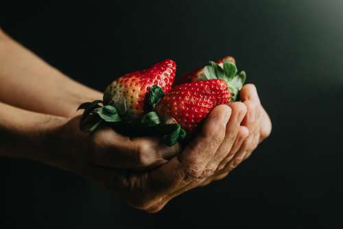 Hands Filled With Ripe Strawberries On Black Background Photo