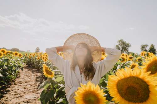 Woman Looks Up Standing In A Field Of Sunflowers Photo