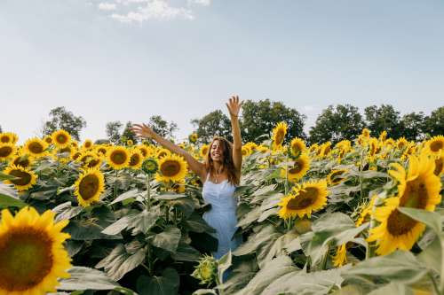 Woman In A White Sundress Stands Among Sunflowers Photo