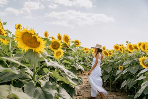 Woman Smiles As She Stands In A Sunflower Field Photo