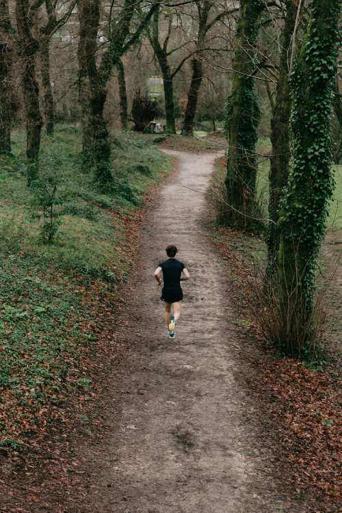 Person Runs If A Lush Green Forest With A Dirt Pathway Photo