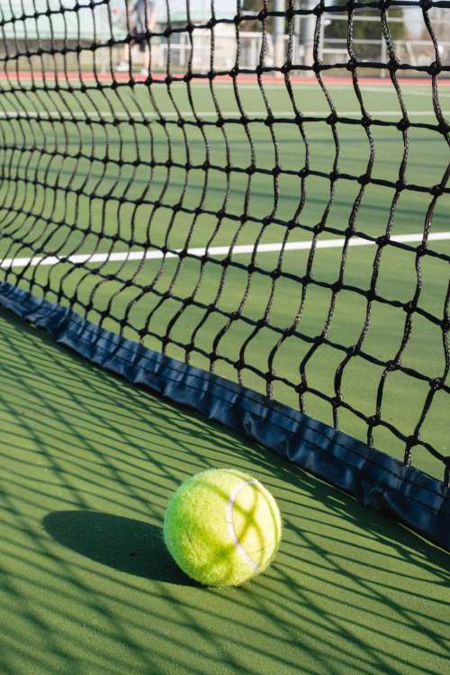 Tennis Ball Lays Net To A Tennis Net Photo