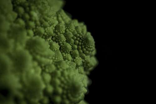 Close Up Of The Texture Of Romanesco Broccoli Photo